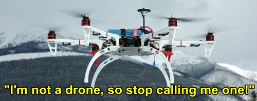 large rc drone